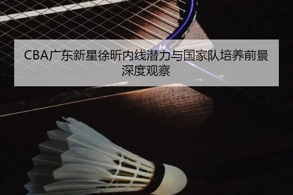 CBA广东新星徐昕内线潜力与国家队培养前景深度观察